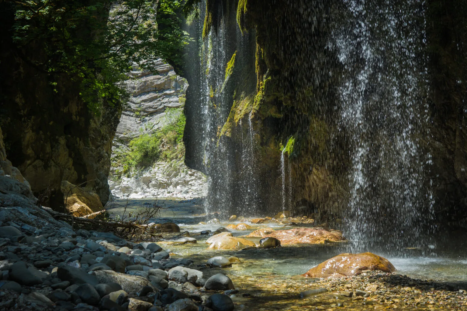 Shutterstock 458308210 scaled