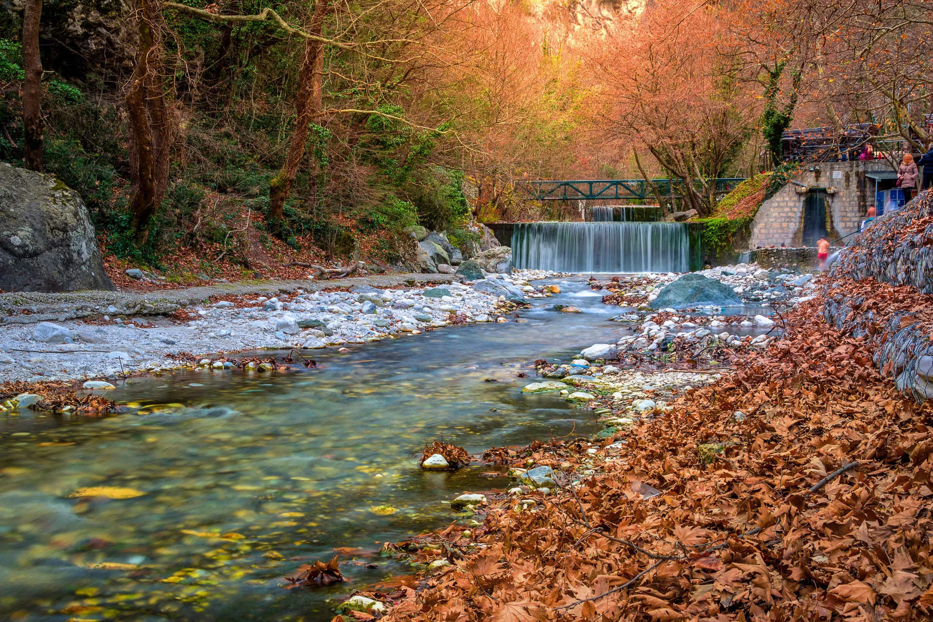 Shutterstock 1319425259