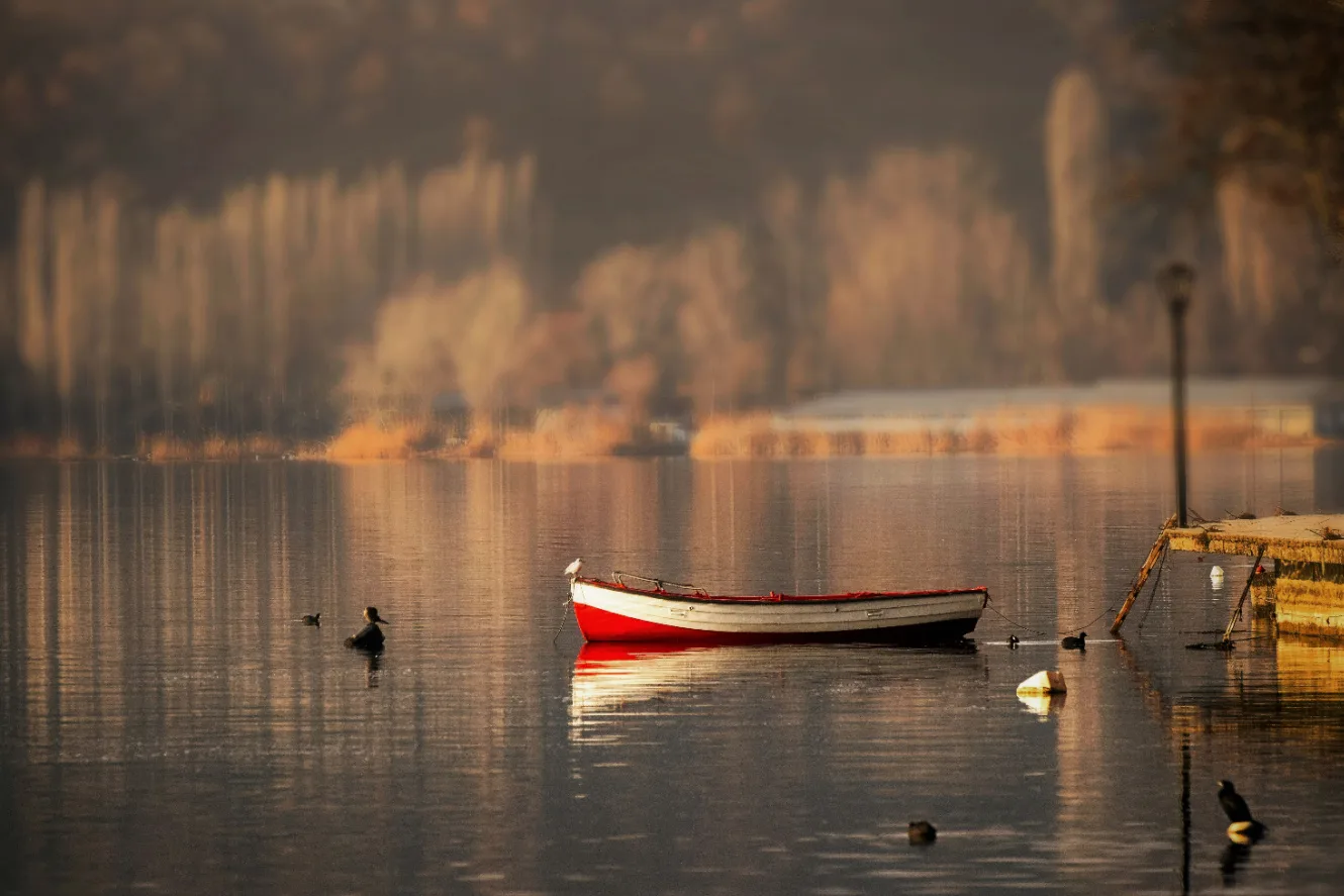 Shutterstock 1084014338
