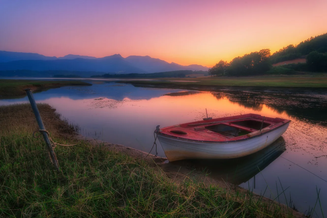 Shutterstock 1226029843