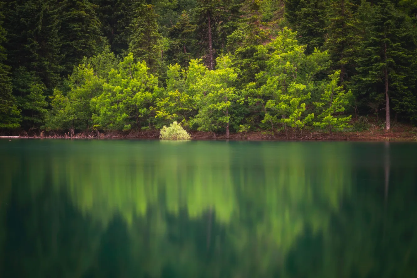 Shutterstock 1508145476