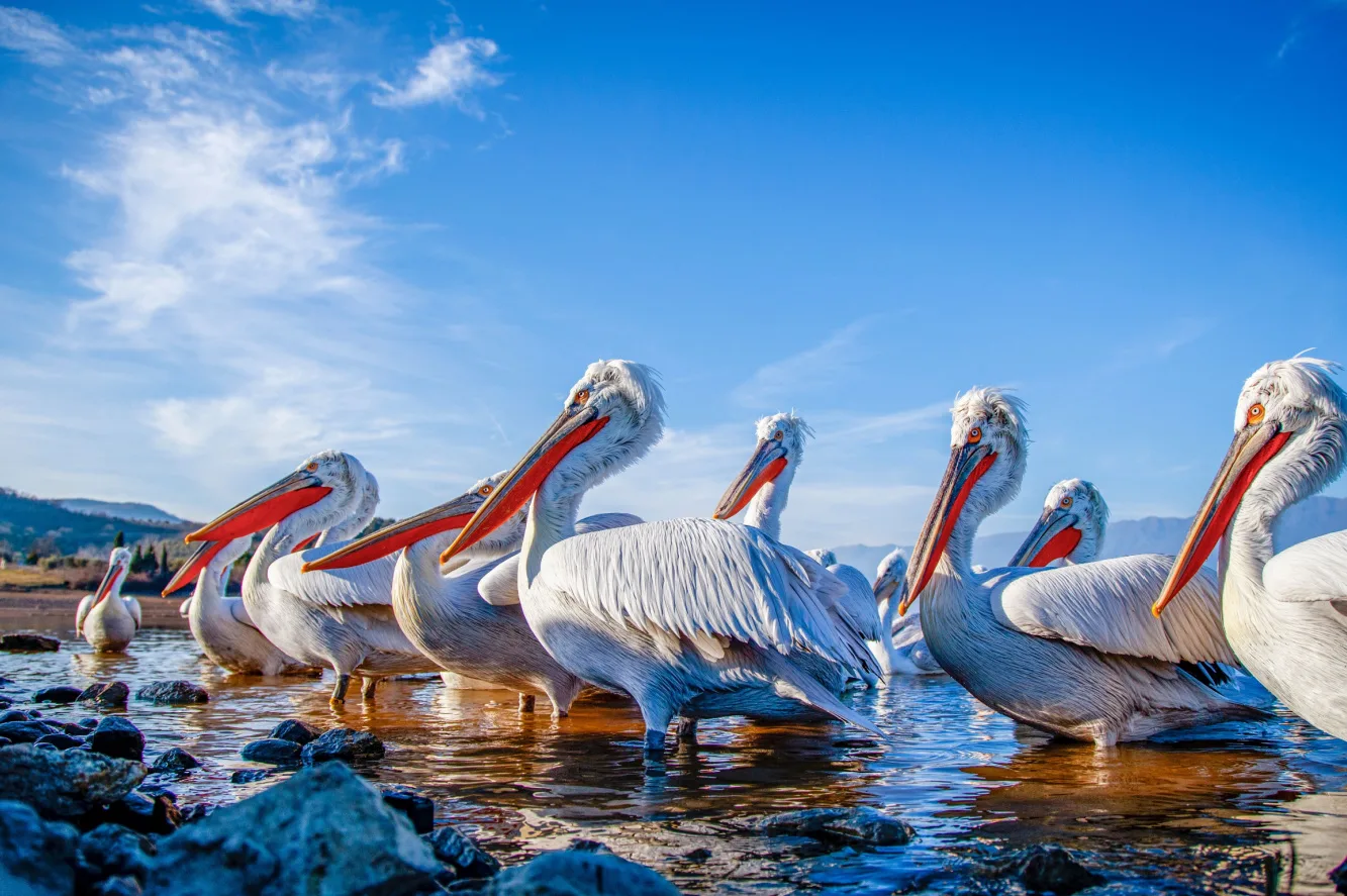Shutterstock 2106438527