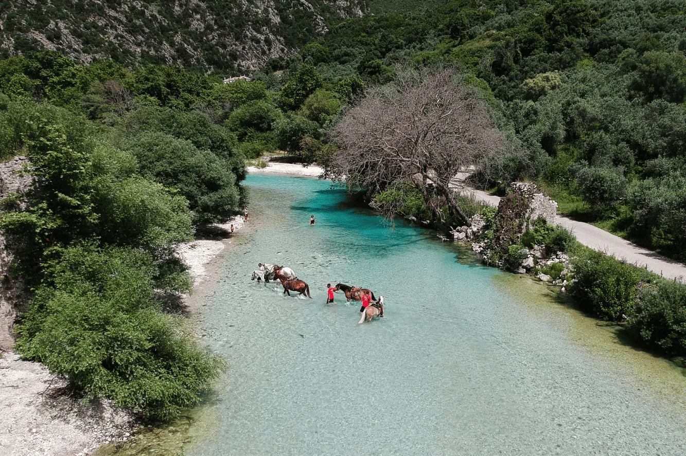 Acherontas3