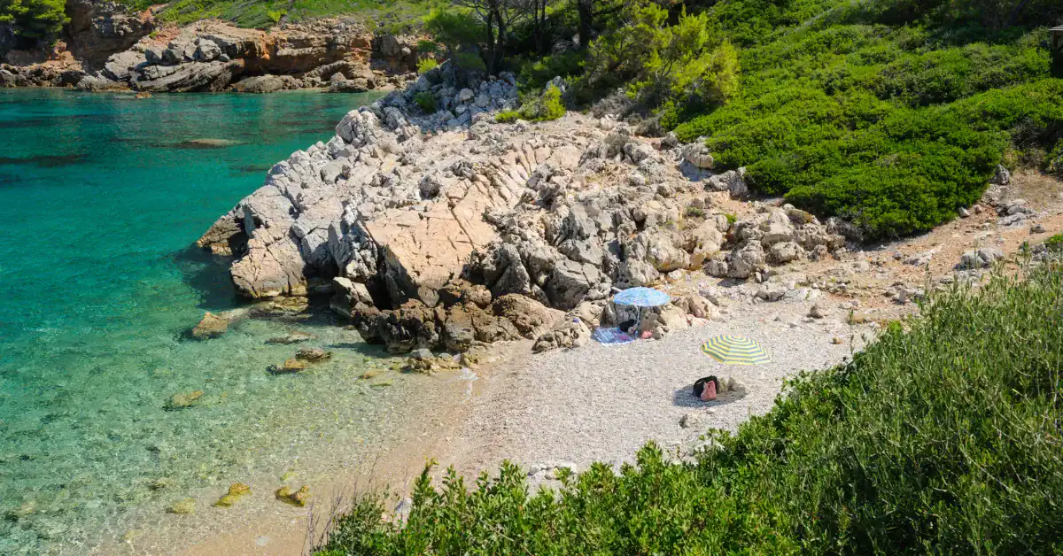Paralia toyrkoneri