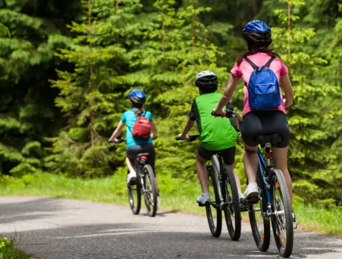realistic photo of a three people riding a bicycle in a forest road